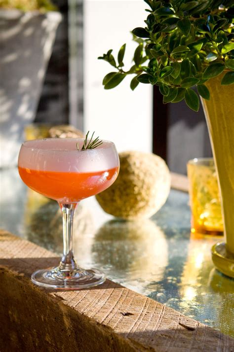 Aperitif Recipes - Pre-Dinner Drink Ideas For Summer