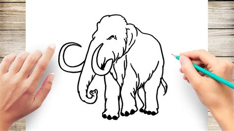 Draw A Mammoth Step By Step Art Hub For Kids - How To Draw A Mammoth Step By Step Youtube / Art ...