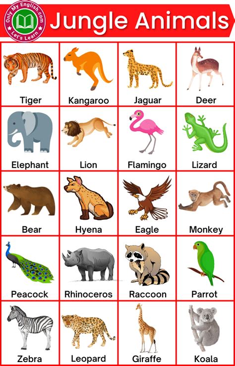 30+ Jungle Animals List with Pictures » Onlymyenglish.com