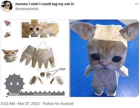 DIY Paper Cat | Memes I Wish I Could Tag My Cat In | Know Your Meme