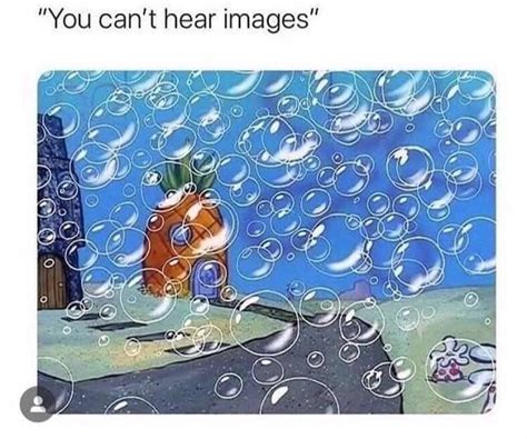 You are wrong | /r/BikiniBottomTwitter | SpongeBob SquarePants | Know Your Meme