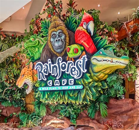 Restaurant Review: Rainforest Cafe in Animal Kingdom - MickeyBlog.com