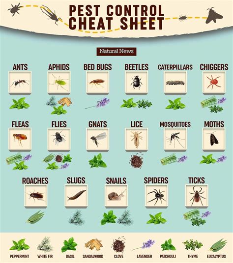 Very handy chart #pestcontrol,pestcontrolservices,rodentcontrol,domyownpestcontrol ...