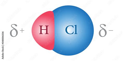 Bond polarity in Hydrochloric acid (HCl) molecule. Scientific vector ...