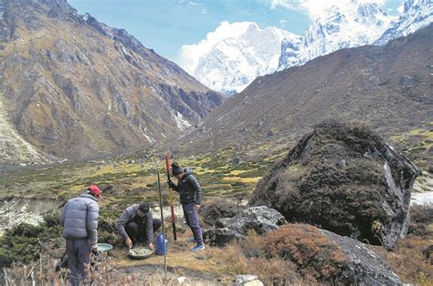 Snow poles installed to guide trekkers in Kangchenjunga base camp route - myRepublica - The New ...