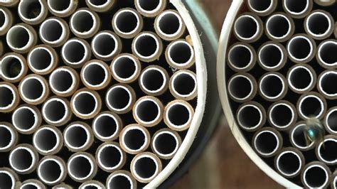 Mason bees nesting tubes 2019 - YouTube