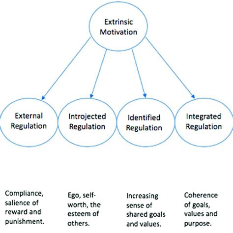 The Self Determination Theory framework (adapted from Ryan and Deci ...