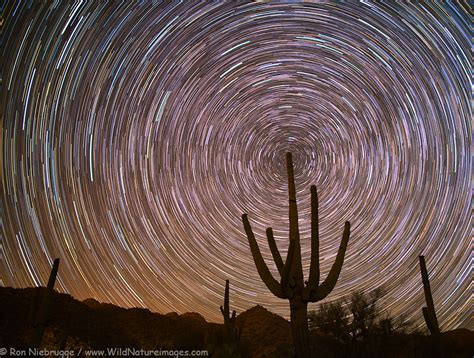 Arizona Star Trails - Photo Blog - Niebrugge Images