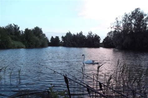 Heritage Lake, Cottenham Fen | Fishery Guide