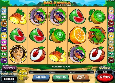 Big Kahuna - Snakes & Ladders slot by Microgaming review 🥇 play online for free!