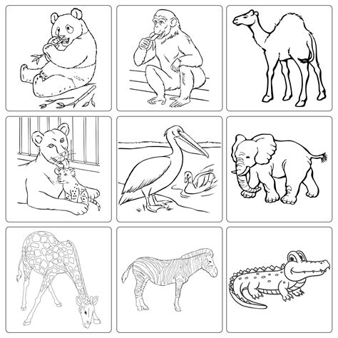 Dear Zoo Printables