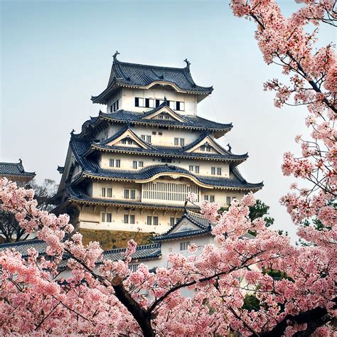 Kansai travel - Lonely Planet | Japan, Asia