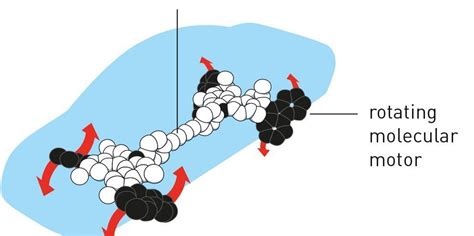 Nobel Prize 2016 In Chemistry Won By Molecular Machines Scientists ...