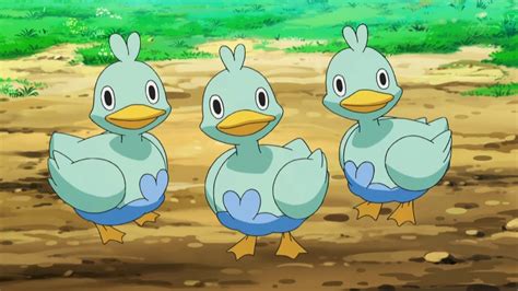 Image - Ducklett BW020.png | Pokémon Wiki | FANDOM powered by Wikia