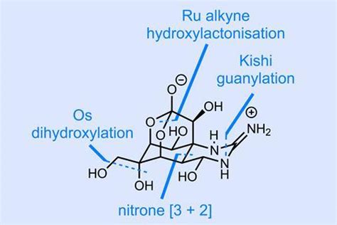 Tetrodotoxin | Opinion | Chemistry World