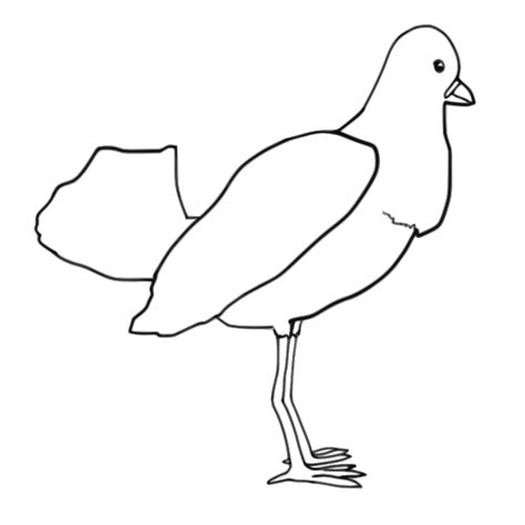 Bird (outline) PNG, SVG Clip art for Web - Download Clip Art, PNG Icon Arts