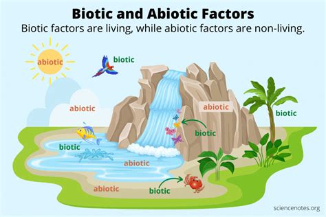 Biotic and Abiotic Factors in Ecology