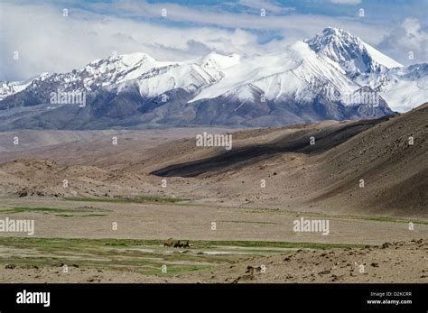 Camel caravan at the foot of the Kongur Tagh (7649m), in the Pamir mountains, Xinjiang province ...