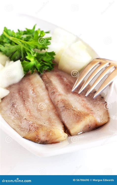 Dutch herring stock photo. Image of salted, herring, plate - 56786690