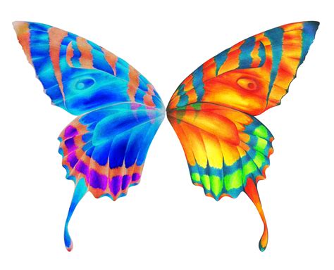 Butterfly wings clipart 20 free Cliparts | Download images on ...