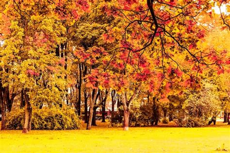 Premium Photo | Beautiful autumn landscape background vintage nature ...