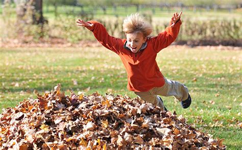 Jumping In Leaves Stock Photos, Pictures & Royalty-Free Images - iStock