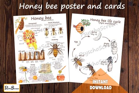 BEE Life Cycle Unit Study MINI Printable Bees Bundle All - Etsy | Bee ...