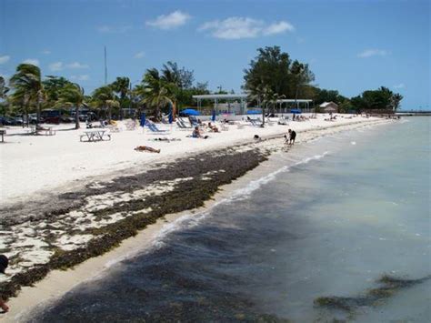 Higgs Beach, Key West - Reviews, photos, video.