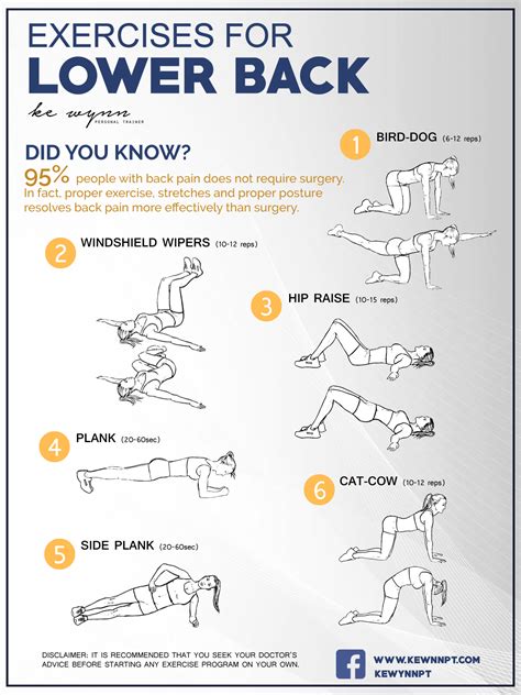 Exercises for Lower Back | Ke Wynn Medical Fitness Center | Clinical ...