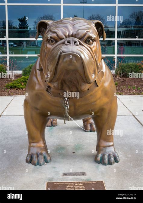 Gonzaga basketball mascot, the "Zag" bulldog Stock Photo - Alamy