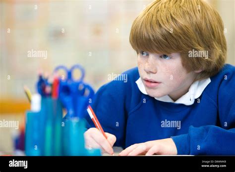 Young school boy studying at school Stock Photo - Alamy
