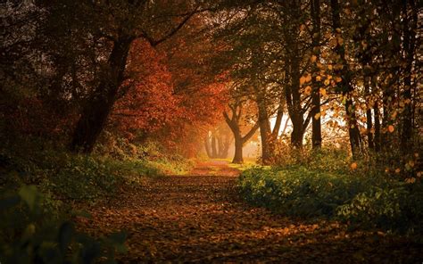 Europe Autumn Wallpapers - Wallpaper Cave