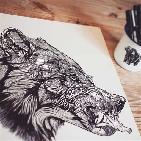 Wolf Snarl Drawing at GetDrawings | Free download