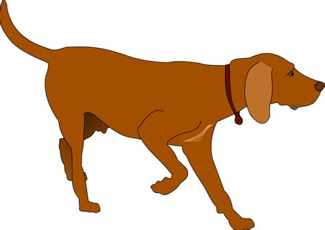 Hunting Dog Vector Clipart image - Free stock photo - Public Domain ...