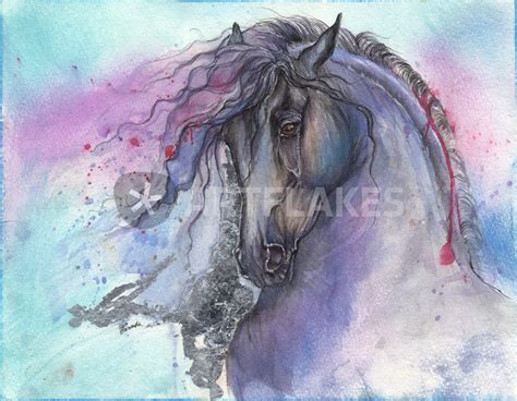 Friesian Horse Painting at PaintingValley.com | Explore collection of Friesian Horse Painting