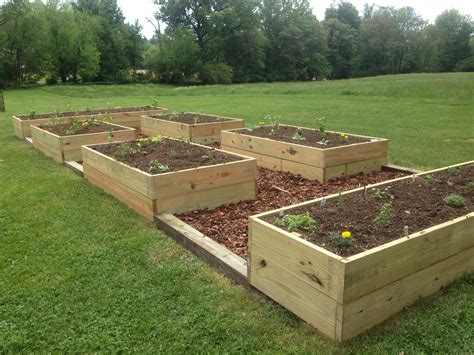 The ultimate raised bed veggie garden Plants For Raised Beds, Raised ...