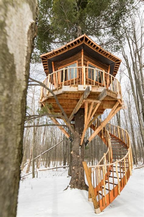 Buffalo Treehouse design | Tree house diy, Beautiful tree houses, Tree ...