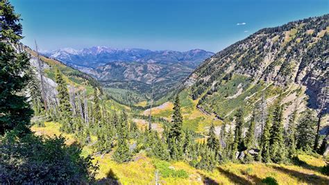 Uinta-Wasatch-Cache National Forest