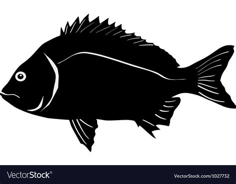 Silhouette of bream Royalty Free Vector Image - VectorStock