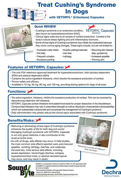 Vetoryl (trilostane) Capsules - Today's Veterinary Business