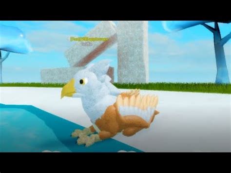 roblox feather family griffin - YouTube