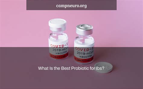 What Is the Best Probiotic for Ibs? | Camp Neuro