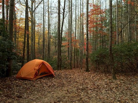 7 Outstanding Campgrounds Around Asheville, North Carolina