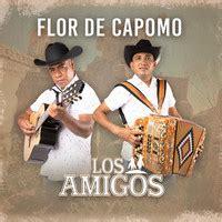 Flor De Capomo Song Download: Play & Listen Flor De Capomo Spanish MP3 ...