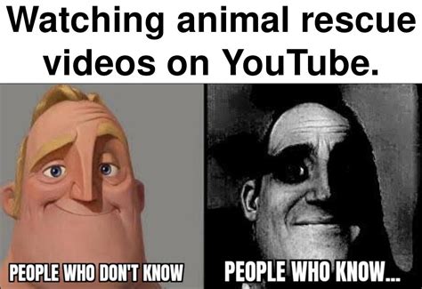 The ugly disturbing truth | /r/memes | Know Your Meme