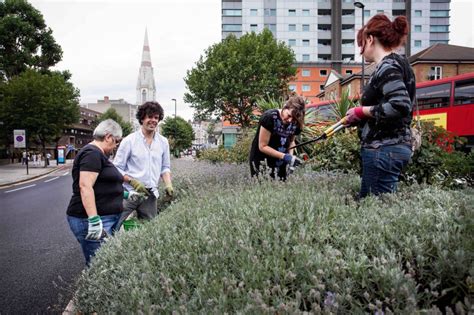 Sprouting Smiles: The Joy of Guerrilla Gardening! - gardeningimperfections