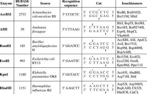 Rebase Restriction Enzyme Database - Maggy Rosette