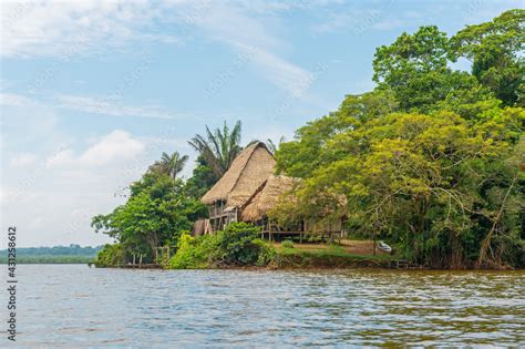 Amazon rainforest lodge by Zancudococha lagoon, Cuyabeno wildlife ...