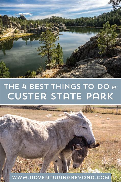 the best things to do in custer state park