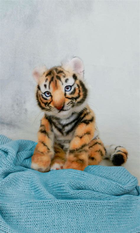 Custom cat plush Realistic stuffed animal tiger cub $400.00 | Buy ...